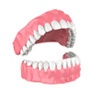 illustration of a set of dentures